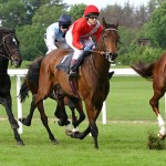 horse-racing-wm-980