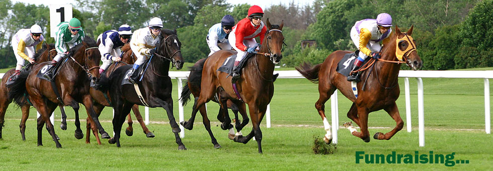 horse-racing-wm-980