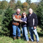 Christmas Trees